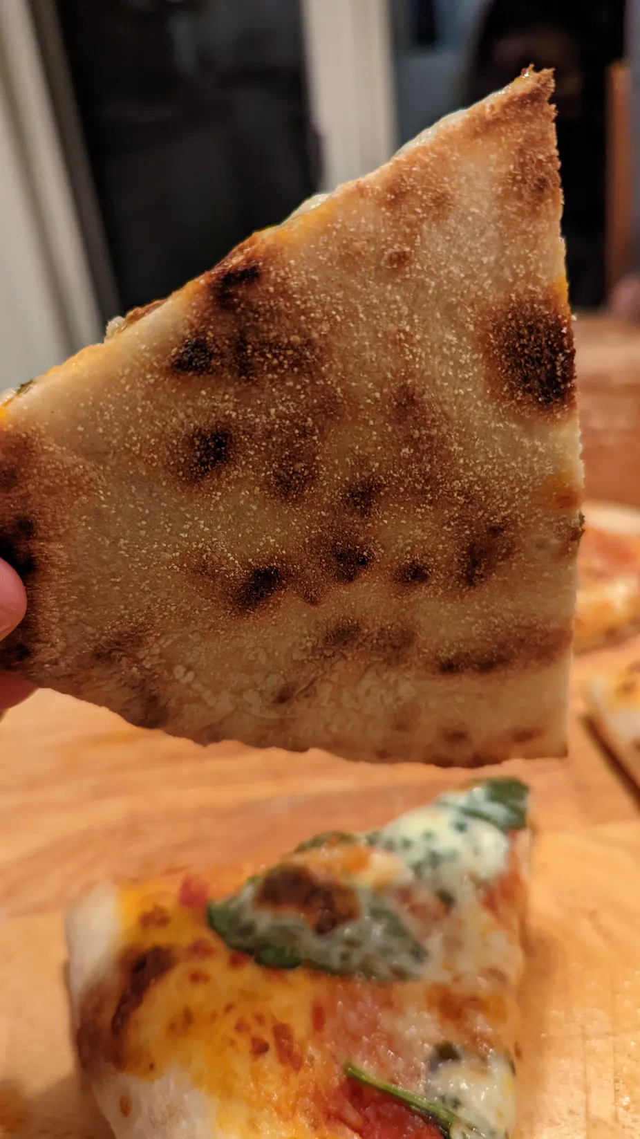 The bottom of a pepperoni pizza, baked on a steel.